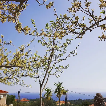 Willa Oneira Trapezaki (Kefalonia)